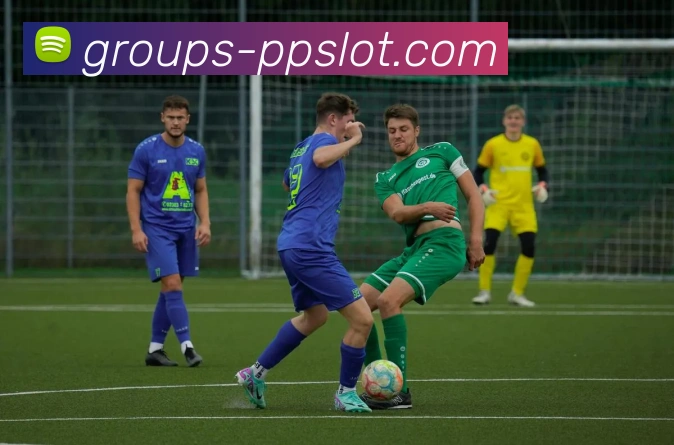 PP极速糖果1000官网APP 封面图